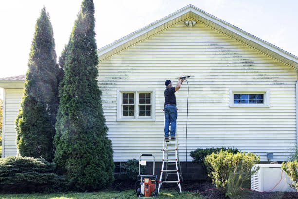 Best Best Pressure Washing Companies  in Mililani Mauka, HI